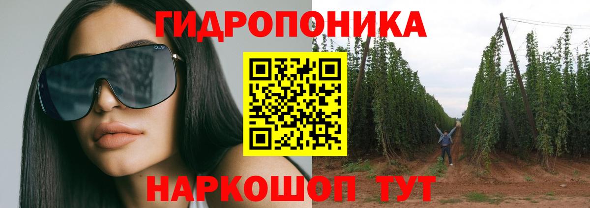 Канабис Bruce Banner Сосновый Бор